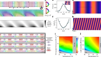 Физики создали видимый невооружённым глазом временной кристалл из жидких кристаллов