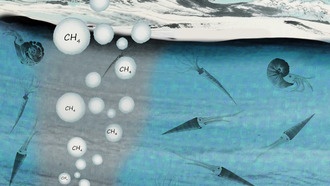 Пульсирующие выбросы биогенного метана вызвали массовое вымирание в юрском периоде