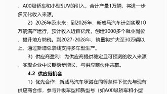 Новая WM Motor объявила о планах реорганизации и возвращения на рынок