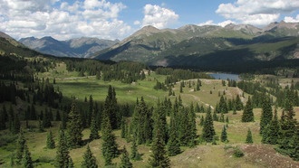 Даже в нетронутых экосистемах насекомые исчезают с угрожающей скоростью