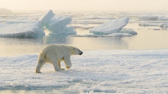 Спутники подтвердили точность прогнозов уровня моря 1990-х годов