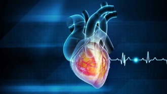 Инфаркт может быть инфекционным заболеванием, выяснили ученые