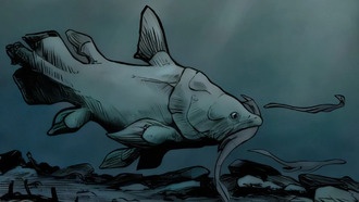 В британских музеях обнаружены новые виды «живых ископаемых» рыб, скрывавшиеся более 150 лет