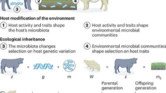 Ученые предложили новые теоретические подходы к изучению эволюции микробиома