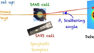 Ученые выяснили, почему безглютеновая паста разваливается при варке