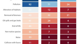 Корпорации игнорируют влияние на океан в своих отчётах