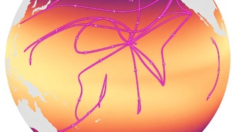 Глобальное потепление угрожает важнейшим морским микробам Prochlorococcus