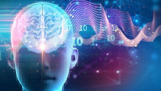 Учёные раскрыли механизм связи сна и гормона роста