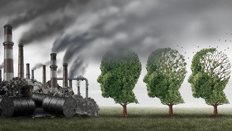 Загрязнённый воздух ускоряет развитие болезни Альцгеймера