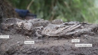 Детские захоронения последних охотников-собирателей проливают свет на мезолитические погребальные обряды