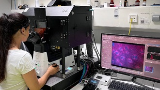 Ядро клетки как модель для ДНК-компьютерных чипов