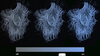 Учёные MIT открыли аналоговую эпигенетическую память клеток