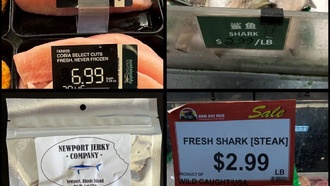 В магазинах США продают мясо вымирающих акул под видом обычного