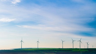 Ученые предупреждают о стратегиях «корпоративного захвата», вредящих защите окружающей среды