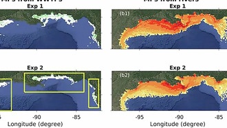 Исследование показало, как микропластик угрожает морской жизни в Мексиканском заливе