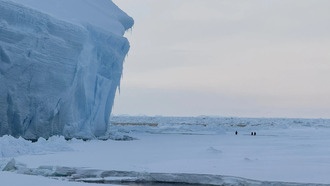 Северные ветры оказались ключевым фактором таяния льдов Антарктиды