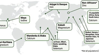 Дефицит микроэлементов повлиял на эволюцию человека по всему миру