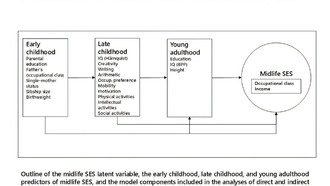Образование и интеллект в молодости определяют социально-экономический статус в среднем возрасте