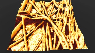 Жировые молекулы в коллагене влияют на механику соединительной ткани