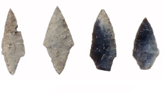 Захоронение каменного века опровергает стереотипы о женщинах и детях