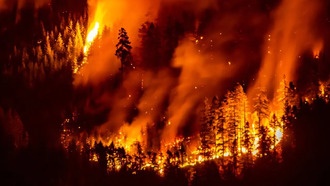 Лесные пожары в Канаде 2023 года связаны с десятками тысяч смертей в Северной Америке и Европе