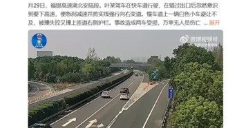 Водитель, нарушивший ПДД, пытался «морально давить» на гаишников: «У неё же полная страховка!»