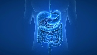 Учёные обнаружили скрытую причину диабета и болезней печени в кишечнике