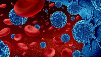 Нарушение кровотока ускоряет рост раковых опухолей