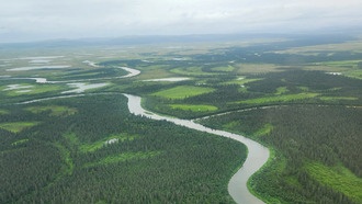 Теплеющие реки Аляски угрожают популяции чавычи и продовольственной безопасности коренных народов