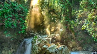 Защита территорий коренных народов Амазонии улучшает здоровье людей