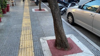 Деревья в городах охлаждают воздух только при достаточном поливе, выяснили ученые