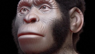 Homo naledi могли хоронить своих умерших 240 000 лет назад