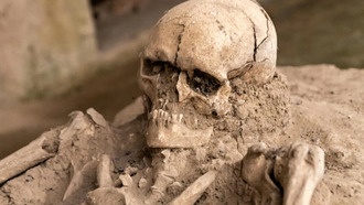 Торговля человеческими останками: почему кости не должны становиться товаром