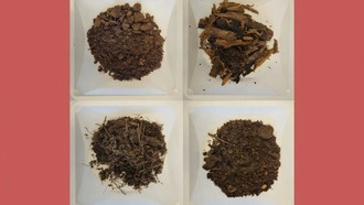 В почве обнаружены сотни новых бактерий и два потенциальных антибиотика