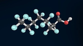 Бактерии могут помочь в борьбе с «вечными химикатами» PFAS