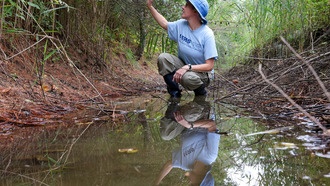 Канавы могут стать ключом к устойчивому развитию и защите окружающей среды