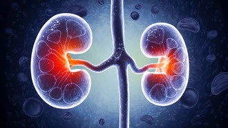 Молекула из кишечника вызывает почечную недостаточность при диабете