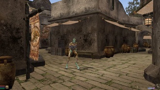 Создатель The Elder Scrolls III: Morrowind рассказал, как в игру попала «Страстная аргонианская служанка»