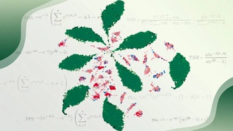 Учёные выявили скрытую проблему в технологии секвенирования РНК отдельных клеток
