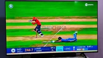 Обзор телевизора Vu Vibe DV 65 дюймов: яркий QLED-экран со встроенной звуковой панелью Dolby Atmos