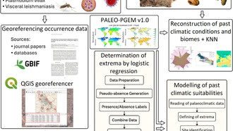ДНК денисовцев защищает современных людей от тропических болезней