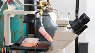 Биореакторы с вращением увеличивают производство целебных везикул для доступной медицины