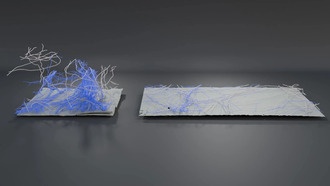 Учёные открыли скрытую динамику мельчайших структур клетки