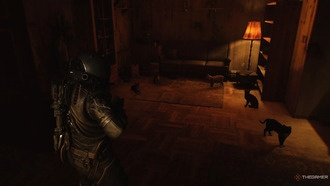 Где найти и погладить всех котов в Cronos: The New Dawn