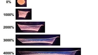 Создан самовосстанавливающийся гель, который растягивается в 46 раз и меняет цвет