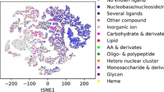 Ученые составили карту «покетома» — вселенной сайтов связывания белков у разных видов