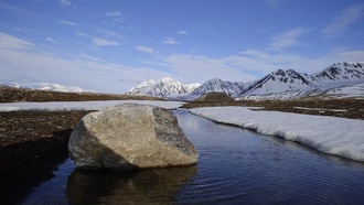 Исследование: потепление на 2°C усиливает поглощение углерода в Арктике, но ослабляет в Альпах