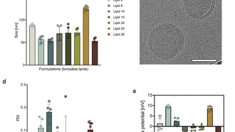 Липидные наночастицы доставляют РНК-терапию для лечения воспалительных заболеваний кишечника