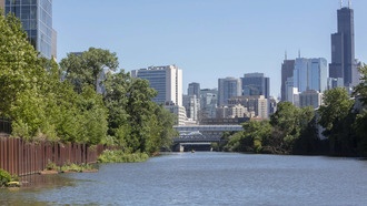 Невероятное возрождение: в реке Чикаго обнаружены 24 успешно размножающихся вида рыб