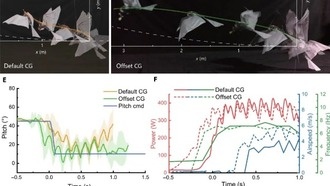 Китайские инженеры создали робота, который взлетает как птица